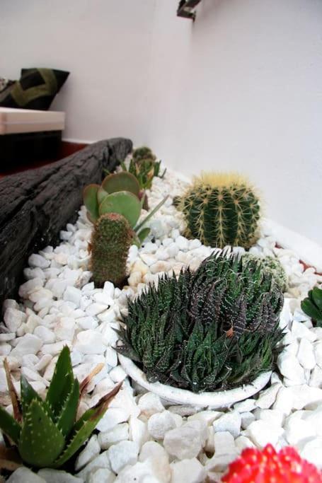 Bonito Ap Centrico Patio Wifi Parking Gratis. Apartment Granada Luaran gambar